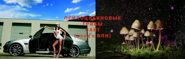 эйфоретик Алексин