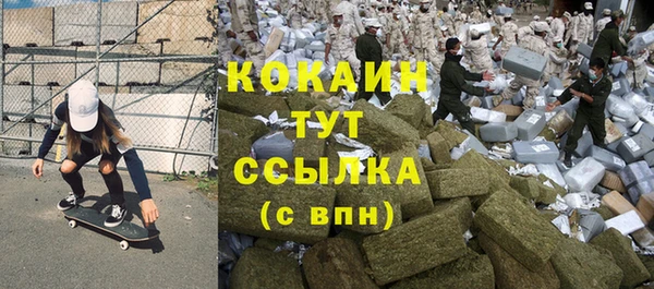 спайс Алзамай