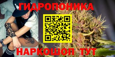 apvp Славгород