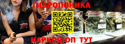 apvp Славгород