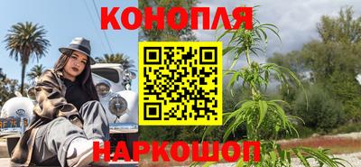 apvp Славгород